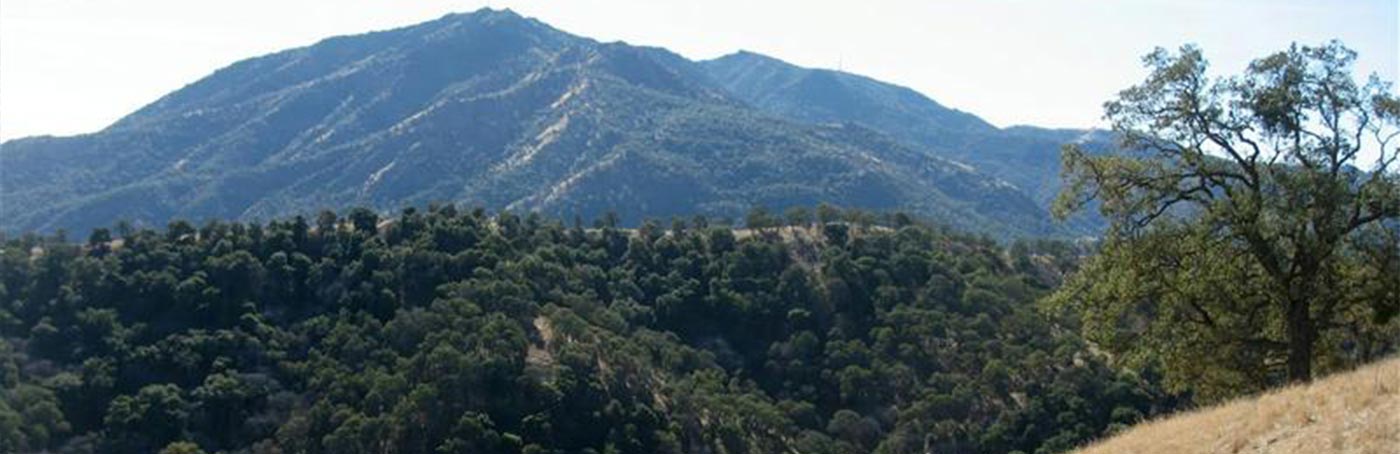 Banner for Community Profiles